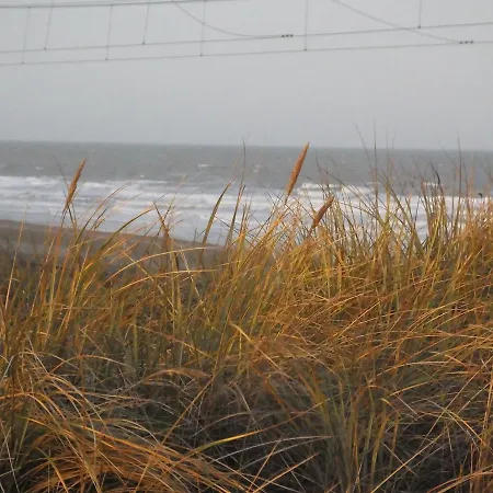 Sable D'o -vlak Aan De Zee- 5* أوستيند